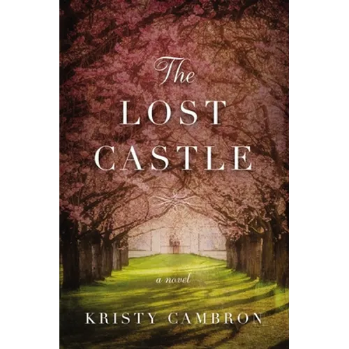 The Lost Castle: A Split-Time Romance