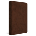 ESV Holy Bible: Dyslexia-Friendly Edition (Trutone, Brown)