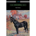 Black Beauty (Illustrated by Robert L. Dickey)