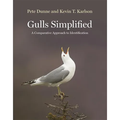 Gulls Simplified: A Comparative Approach to Identification