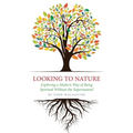 Looking to Nature: Exploring a Modern Way of Being Spiritual Without the Supernatural