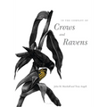 In the Company of Crows and Ravens