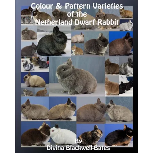 Colour & Pattern Varieties of the Netherland Dwarf Rabbit