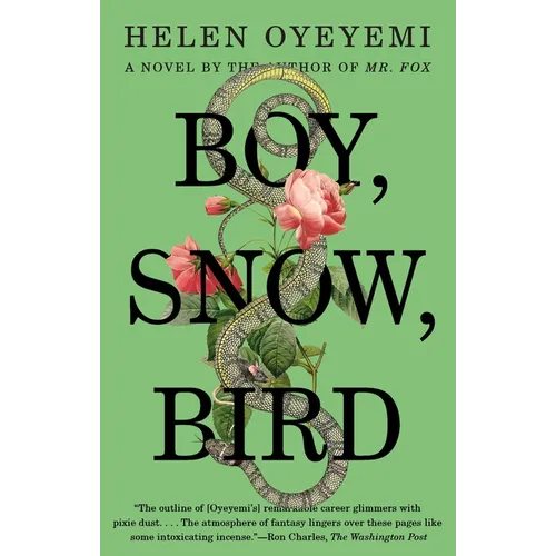Boy, Snow, Bird