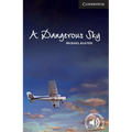 A Dangerous Sky Level 6 Advanced