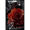 A Deaf Rose Climbs from a Broken World