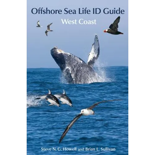 Offshore Sea Life Id Guide: West Coast