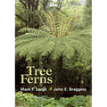 Tree Ferns