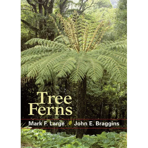 Tree Ferns