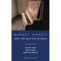 What You Wish for in Youth: Three Short Plays