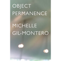 Object Permanence