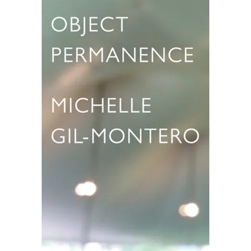 Object Permanence