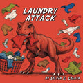 Laundry Attack