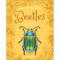 An Anthology of Beetles: A Collection of Brilliant Beetles from Around the World