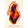 Hurricanes Roar: 30 Reflections on Black Spiritual Poetry