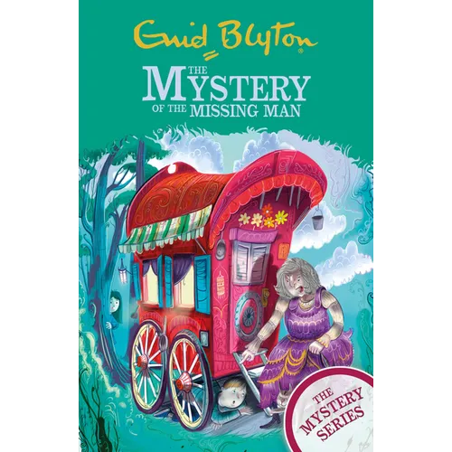 The Mystery of the Missing Man: Book 13
