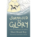 Surprised by Glory: Essays on Searching for the Sublime