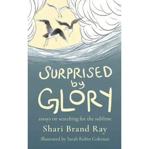 Surprised by Glory: Essays on Searching for the Sublime