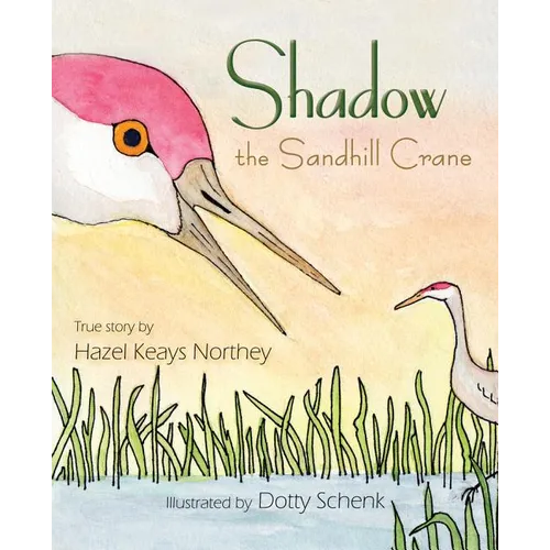 Shadow the Sandhill Crane
