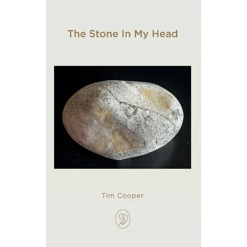 The Stone In My Head