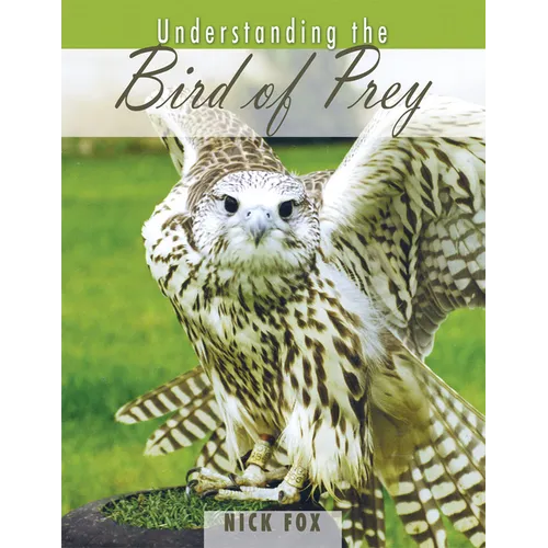 Understanding the Bird of Prey