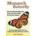 Monarch Butterfly, Monarch Butterfly Migration, Facts, Life Cycle, What Do They Eat, Habitat, Anatomy, Breeding, Milkweed, Predators