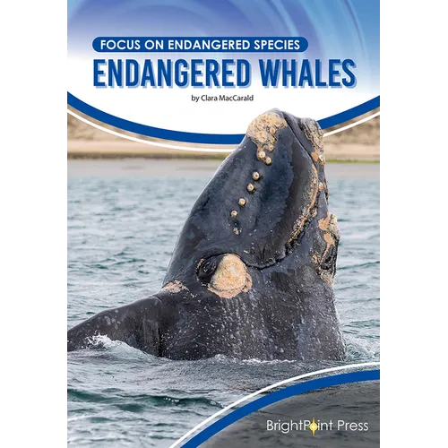 Endangered Whales