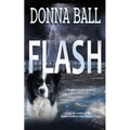 Flash