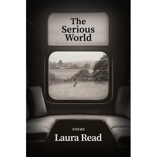 The Serious World