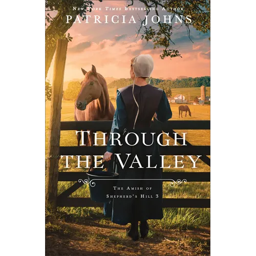 Through the Valley