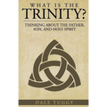 What is the Trinity?: Thinking about the Father, Son, and Holy Spirit