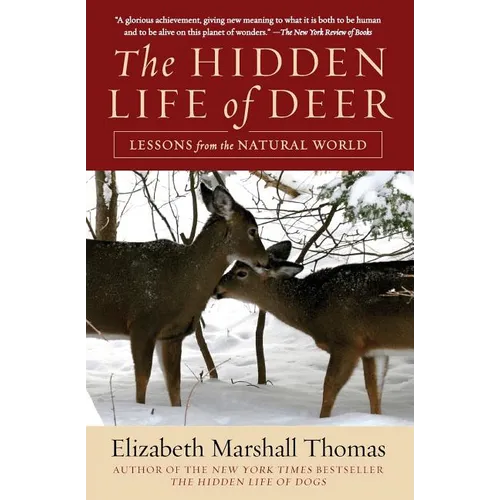 The Hidden Life of Deer