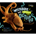 Mysterious, Marvelous Octopus!