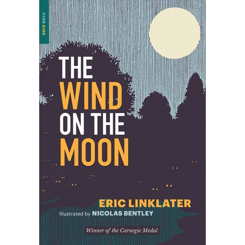 The Wind on the Moon