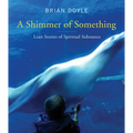 Shimmer of Something: Lean Stories of Spiritual Substance