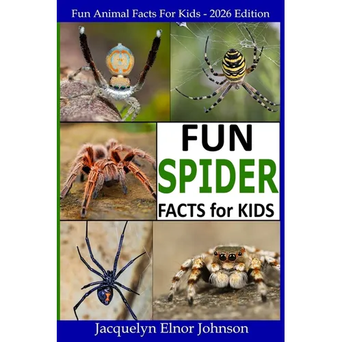Fun Spider Facts For Kids