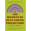 The Secrets of Meta-Cosmic Projection