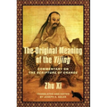 The Original Meaning of the Yijing: Commentary on the Scripture of Change