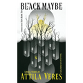 The Black Maybe: Liminal Tales