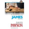 A Commentary on James