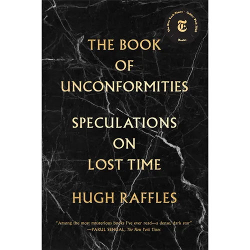 The Book of Unconformities: Speculations on Lost Time