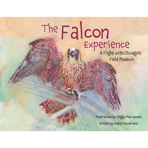The Falcon Experience: A Flight with Chicago's Field Museum