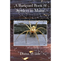 A Backyard Book of Spiders in Maine