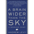 A Brain Wider Than the Sky