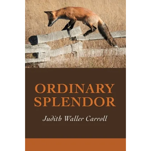 Ordinary Splendor