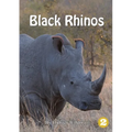 Black Rhinos