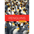 Penguins