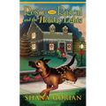 Rosco the Rascal and the Holiday Lights