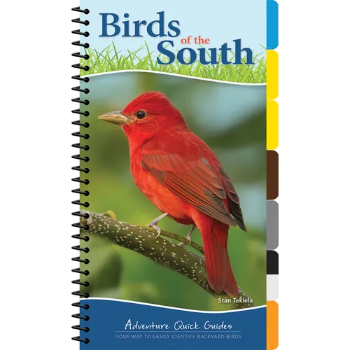 Birds of the South: Your Way to Easily Identify Backyard Birds