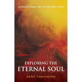 Exploring the Eternal Soul - Insights from the Life Between Lives
